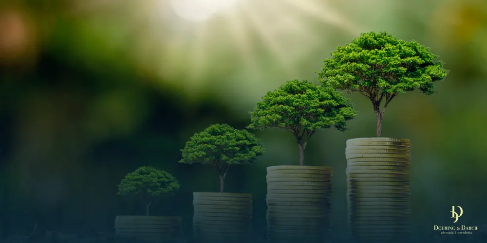 Recebeu uma multa ambiental? Saiba o que acontece caso não regularize a situação